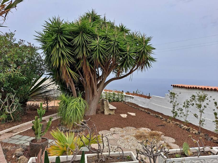Tenerife Apartment Dulcynea With Terrace And Garden 600M2 With Ocean And Teide View イコー・デ・ロス・ビノス エクステリア 写真