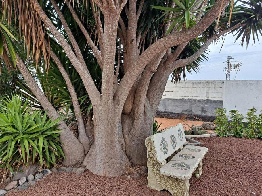 Tenerife Apartment Dulcynea With Terrace And Garden 600M2 With Ocean And Teide View イコー・デ・ロス・ビノス エクステリア 写真