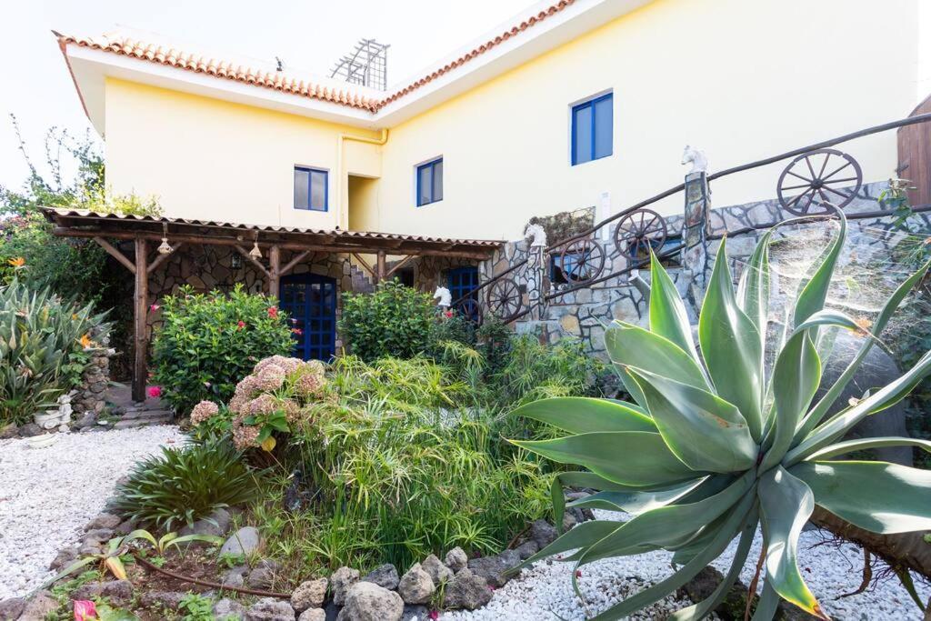 Tenerife Apartment Dulcynea With Terrace And Garden 600M2 With Ocean And Teide View イコー・デ・ロス・ビノス エクステリア 写真