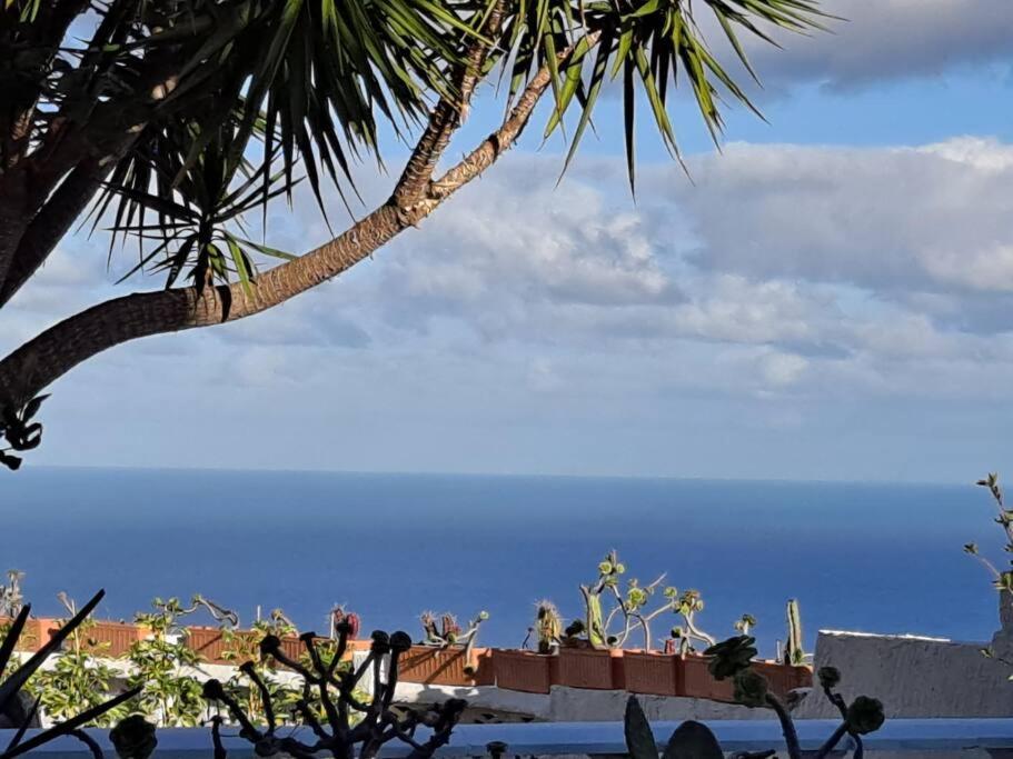 Tenerife Apartment Dulcynea With Terrace And Garden 600M2 With Ocean And Teide View イコー・デ・ロス・ビノス エクステリア 写真